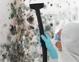 Best Mold Remediation for Healthcare Facilities  in Yaphank, NY